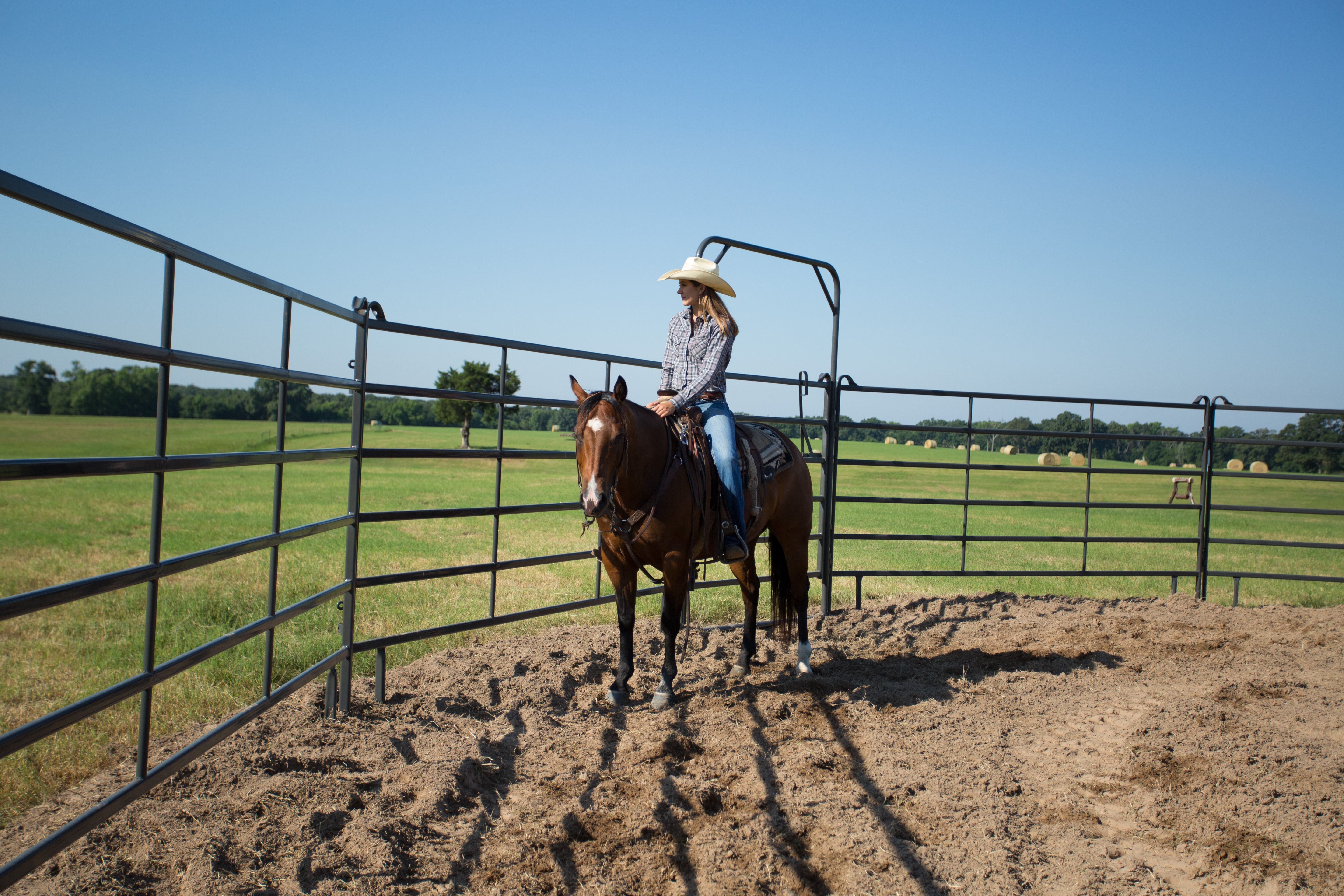 Premier Tall Round Pen PPT50 68.jpg